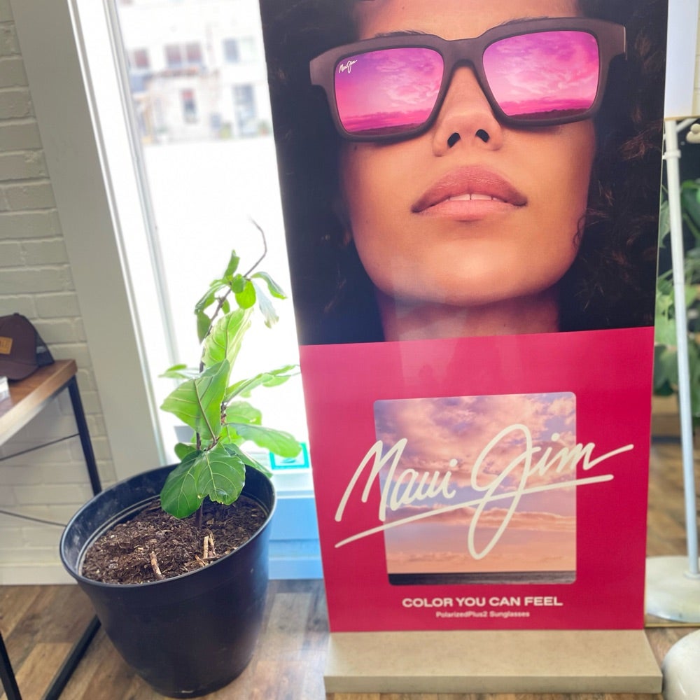 Express Eyewear FAQ’s + list of insurances we accept + company info 